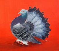 Shahjahan, 9 x 10 Inch, Acrylic on Card Board, Pigeon Painting, AC-SHJ-026